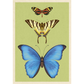 Three butterflies on a green background