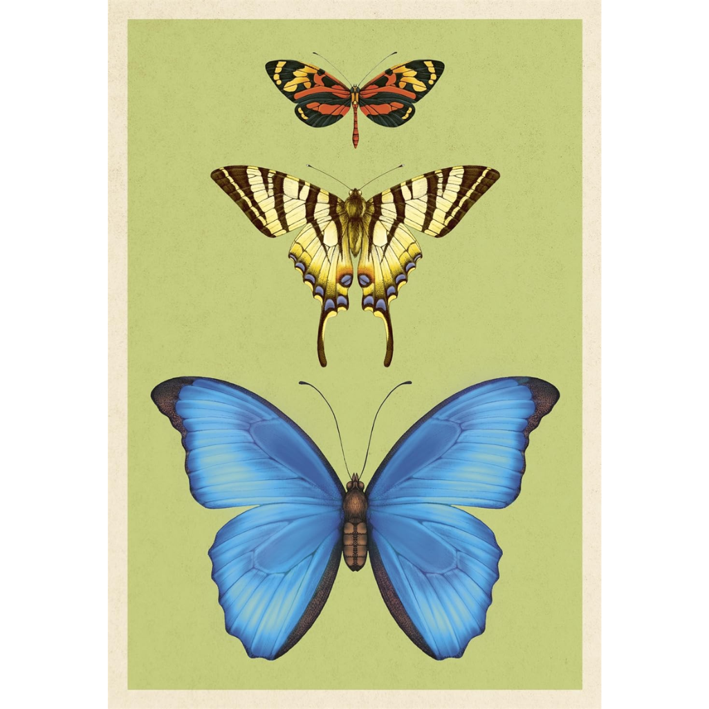 Three butterflies on a green background