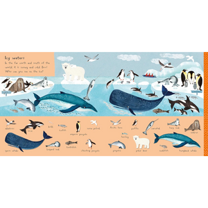 Illustration of Arctic animals and their habitats with labels on a blue and orange background.