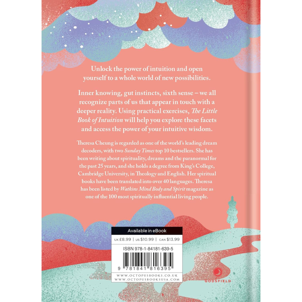 Book back cover with text and decorative elements on a pink and blue background
