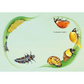Illustration of a butterfly life cycle on a light green background
