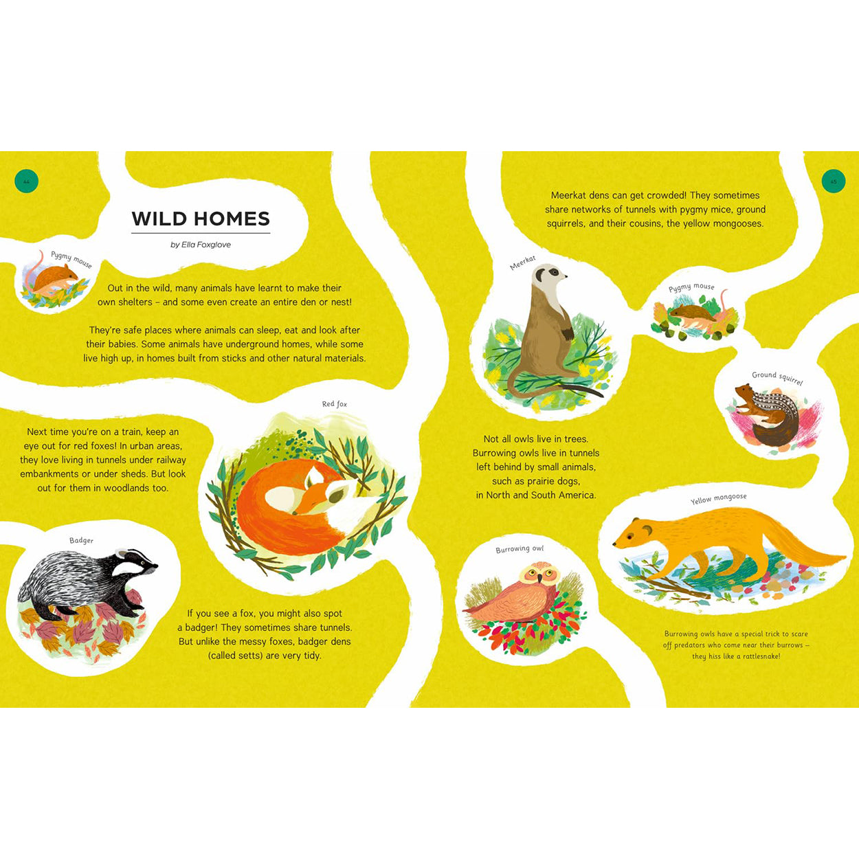 Spin a Story: view of inside pages