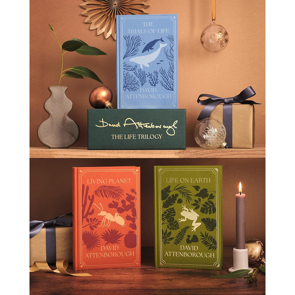 The Life Trilogy Boxset:  Three books and slipcase