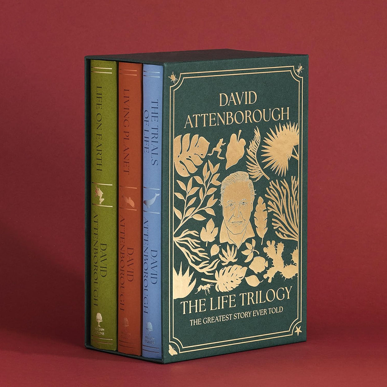 The Life Trilogy Boxset: Front of slipcase