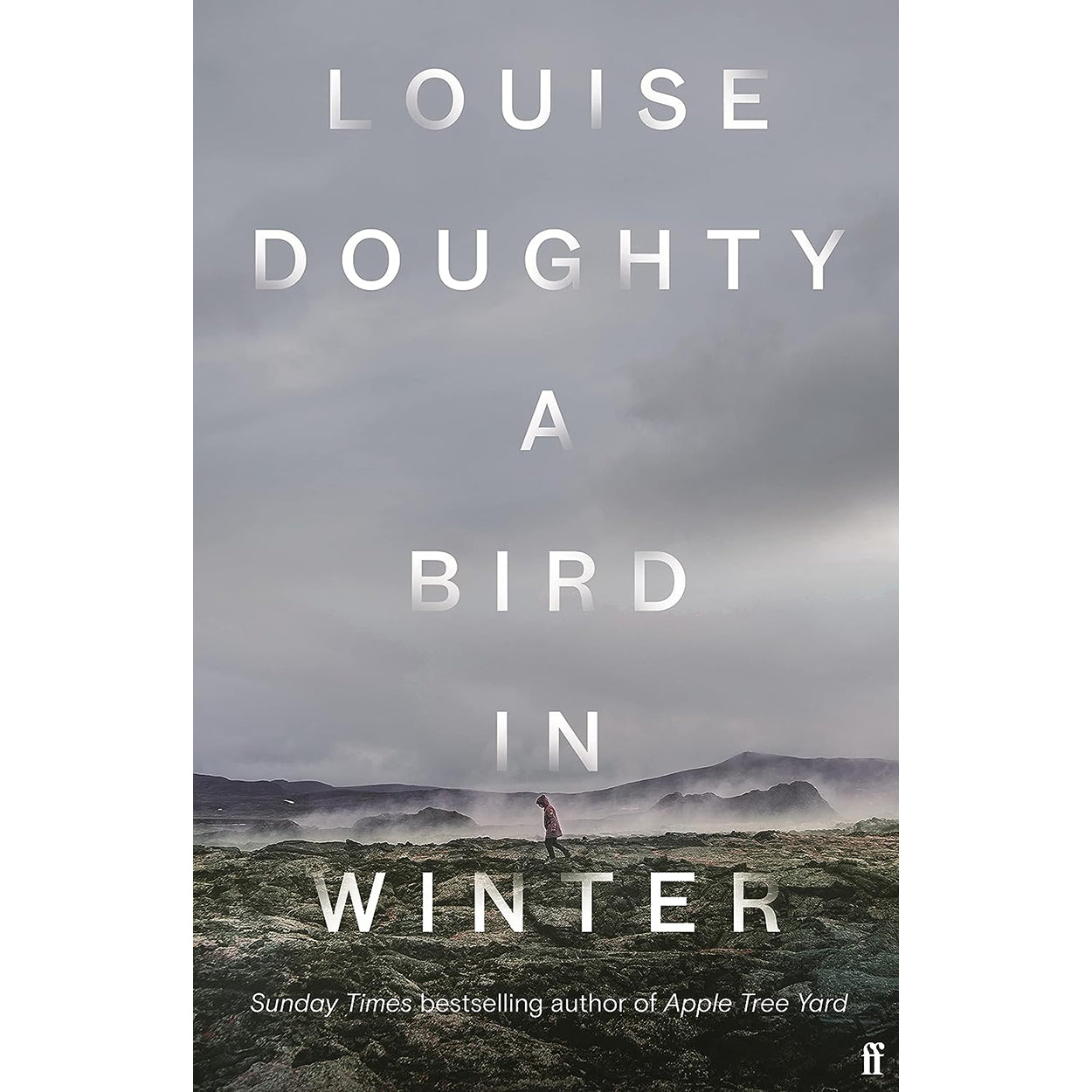 A Bird in Winter Front Cover (Hardback)