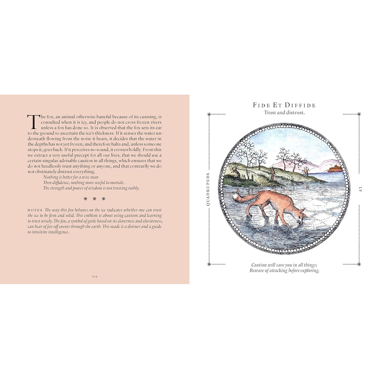 Symbolorum: view of inside pages