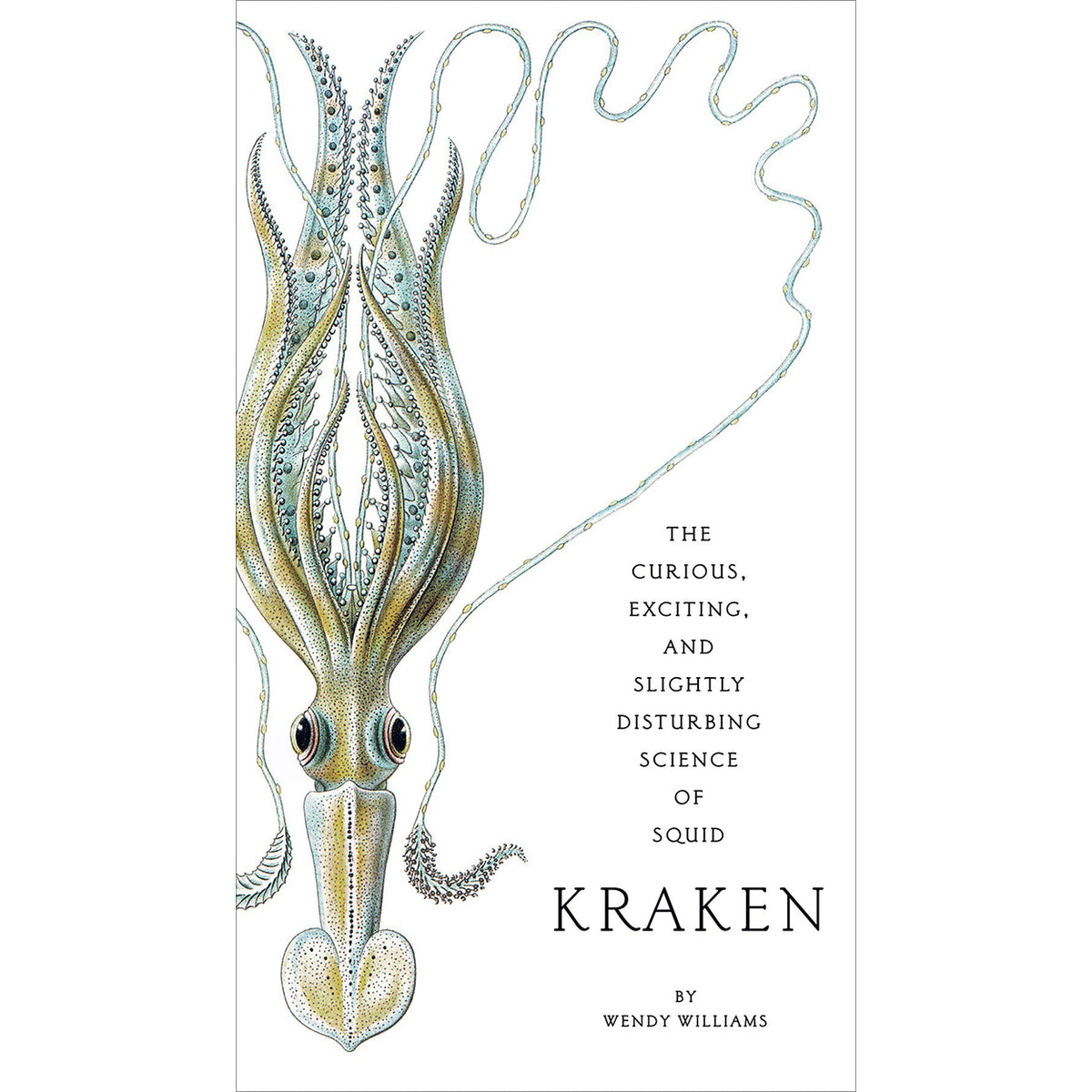 Kraken Front Cover (Paperback)