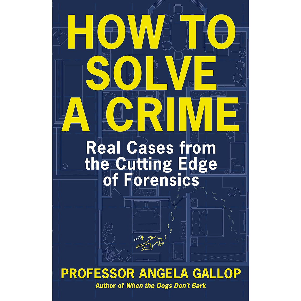 How to Solve a Crime Front Cover (Paperback)