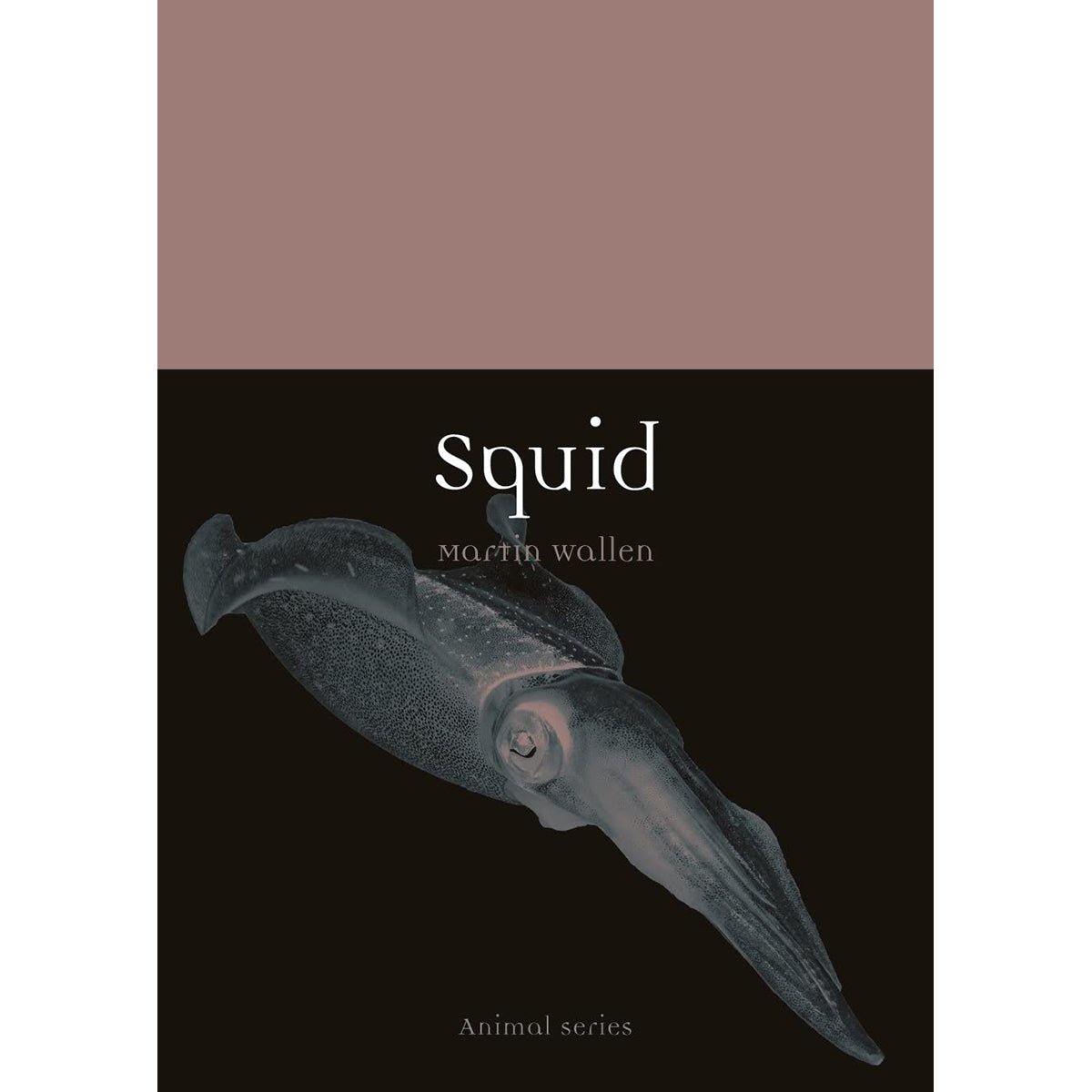 Squid Front Cover (Paperback)