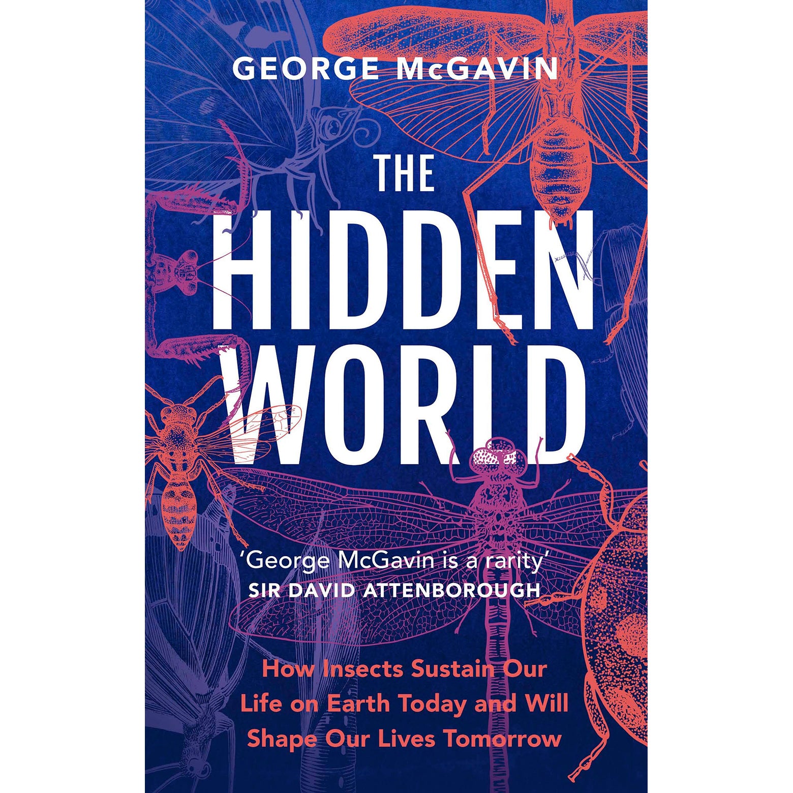 The Hidden World Front Cover (Hardback)