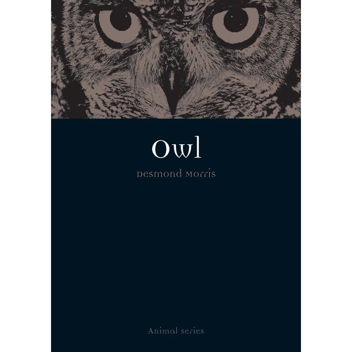 Owl Front Cover (Paperback)
