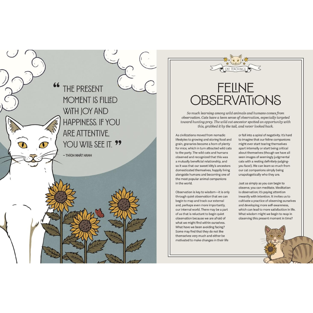 Open book with cat illustrations and text on a white background
