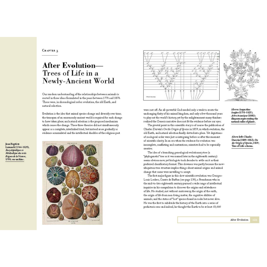 Book page with evolutionary diagrams and text on a white background
