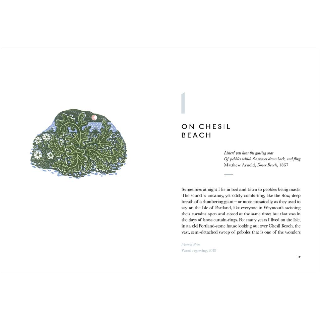 Book page with illustration of pebbles and text on Chesil Beach
