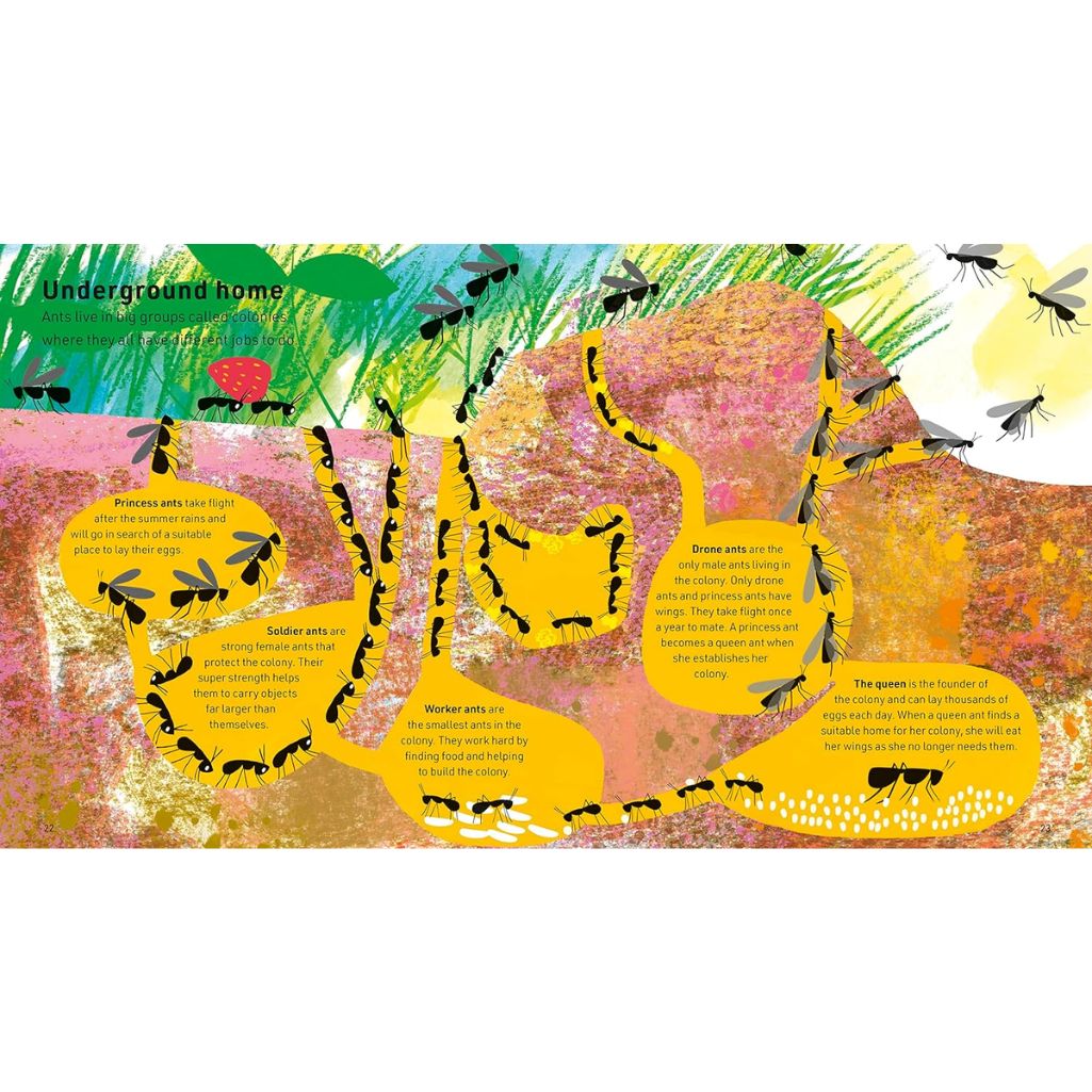 Illustration of ants and their underground home with text labels.