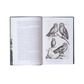 Open book with illustrations of owls on a white background