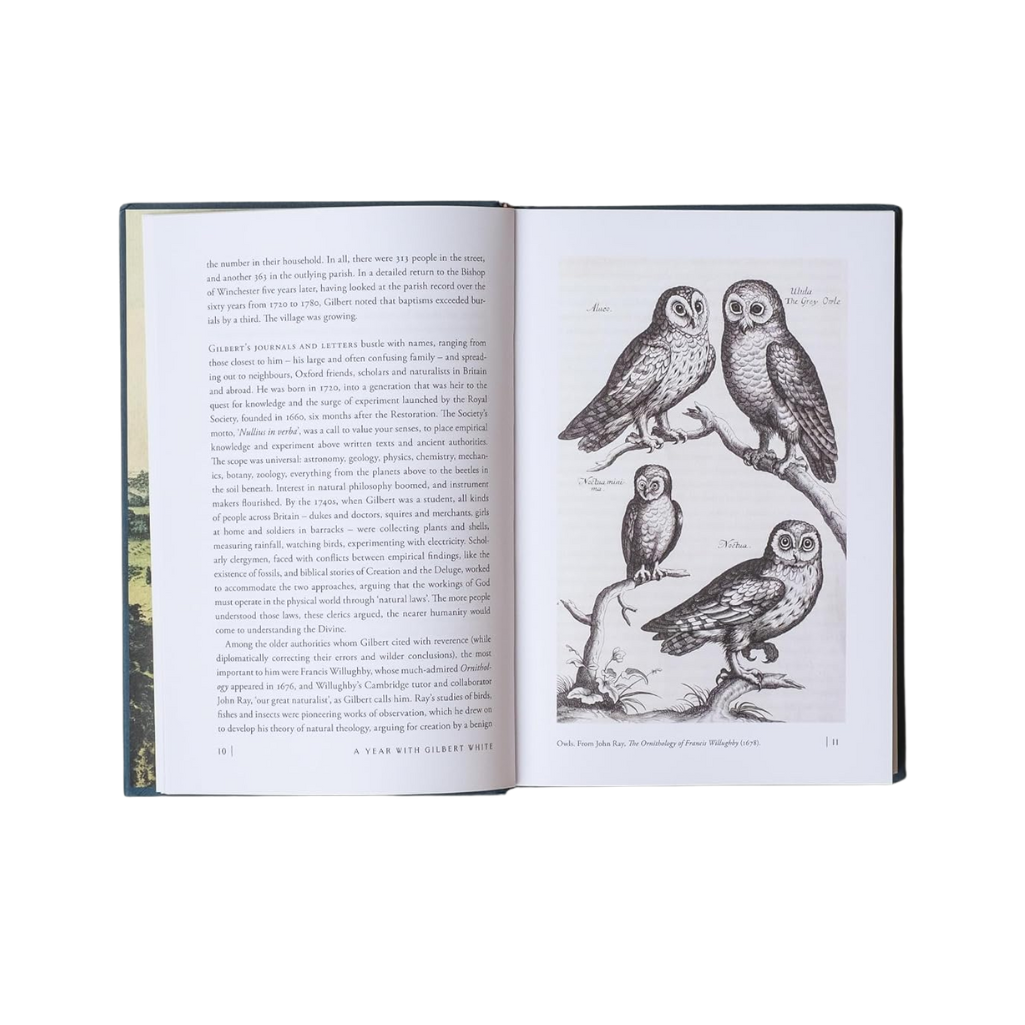 Open book with illustrations of owls on a white background