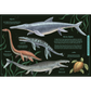 Illustration of marine reptiles on a dark background with plant designs.
