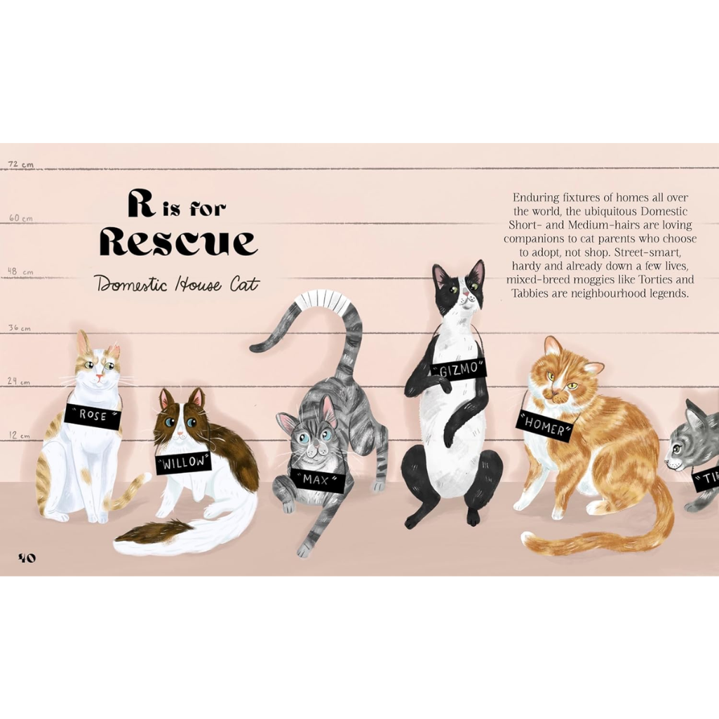 Illustration of rescue cats with name tags on a beige background, featuring text about domestic house cats.