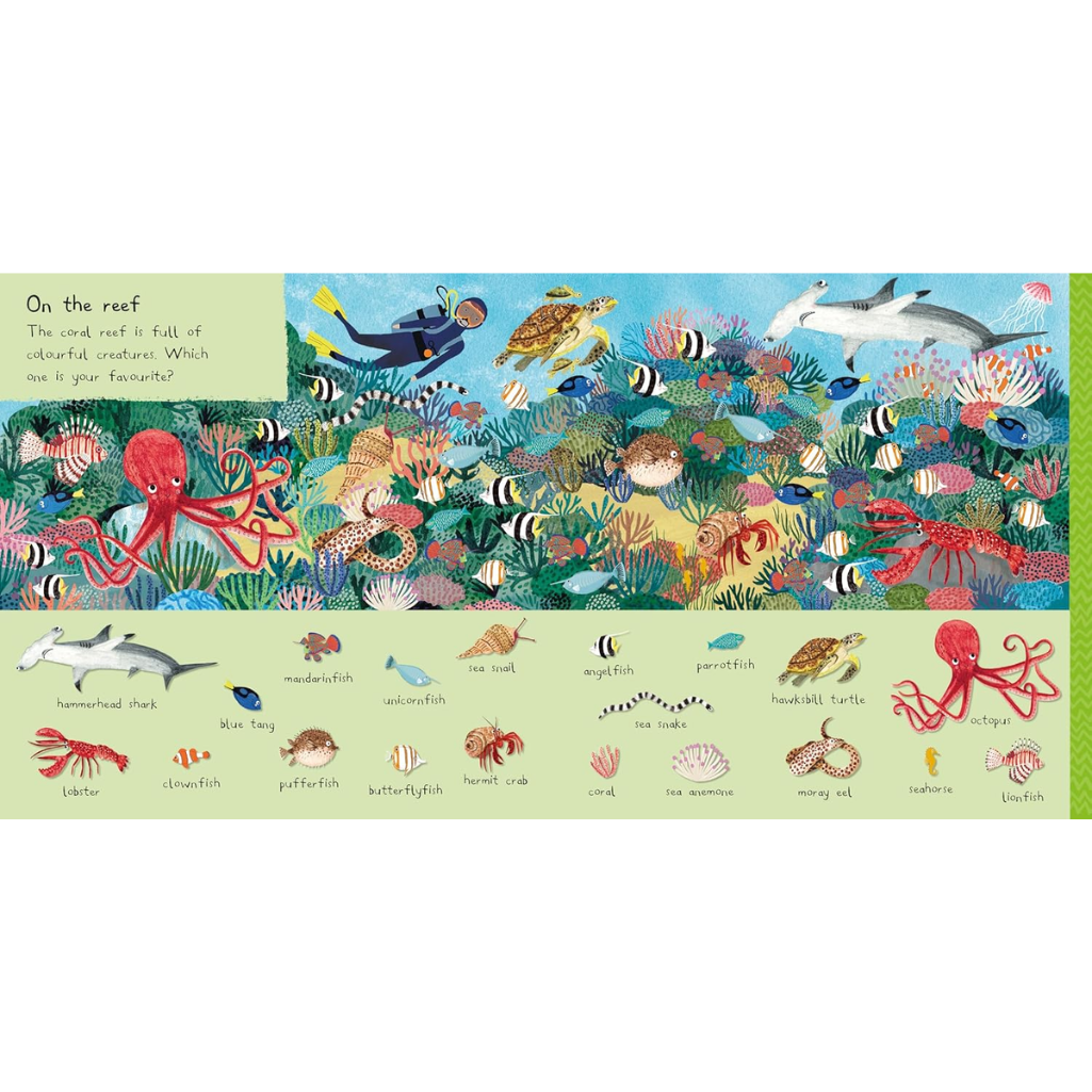 Illustration of an underwater scene with various sea creatures and a diver.