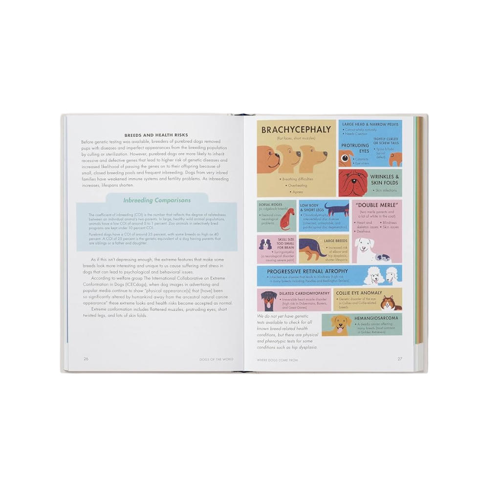 Open book showing a page with text and a colorful diagram on a white background