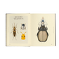 Open book with illustrations of beetles on a white background