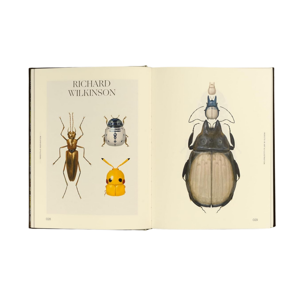 Open book with illustrations of beetles on a white background