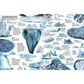 Educational diagram of ice, icebergs, and glaciers with labels.