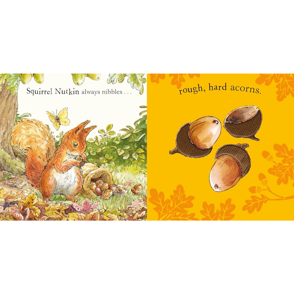 Illustration of a squirrel and acorns with text on a white background