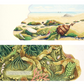 Illustration of a beach scene with seashells and ocean life, transitioning into a close-up of seaweed and marine plants.