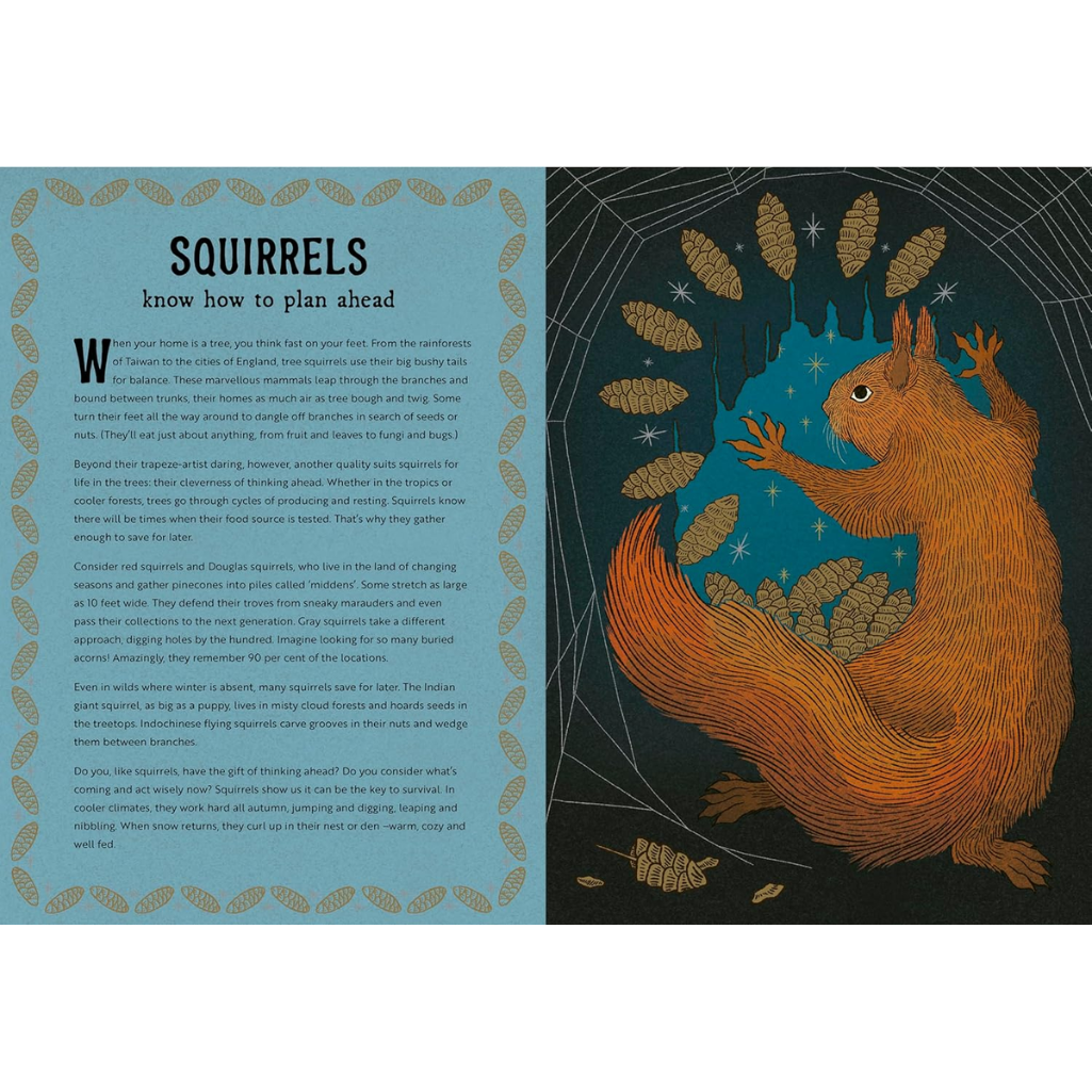 Illustration of a squirrel with text on a blue background