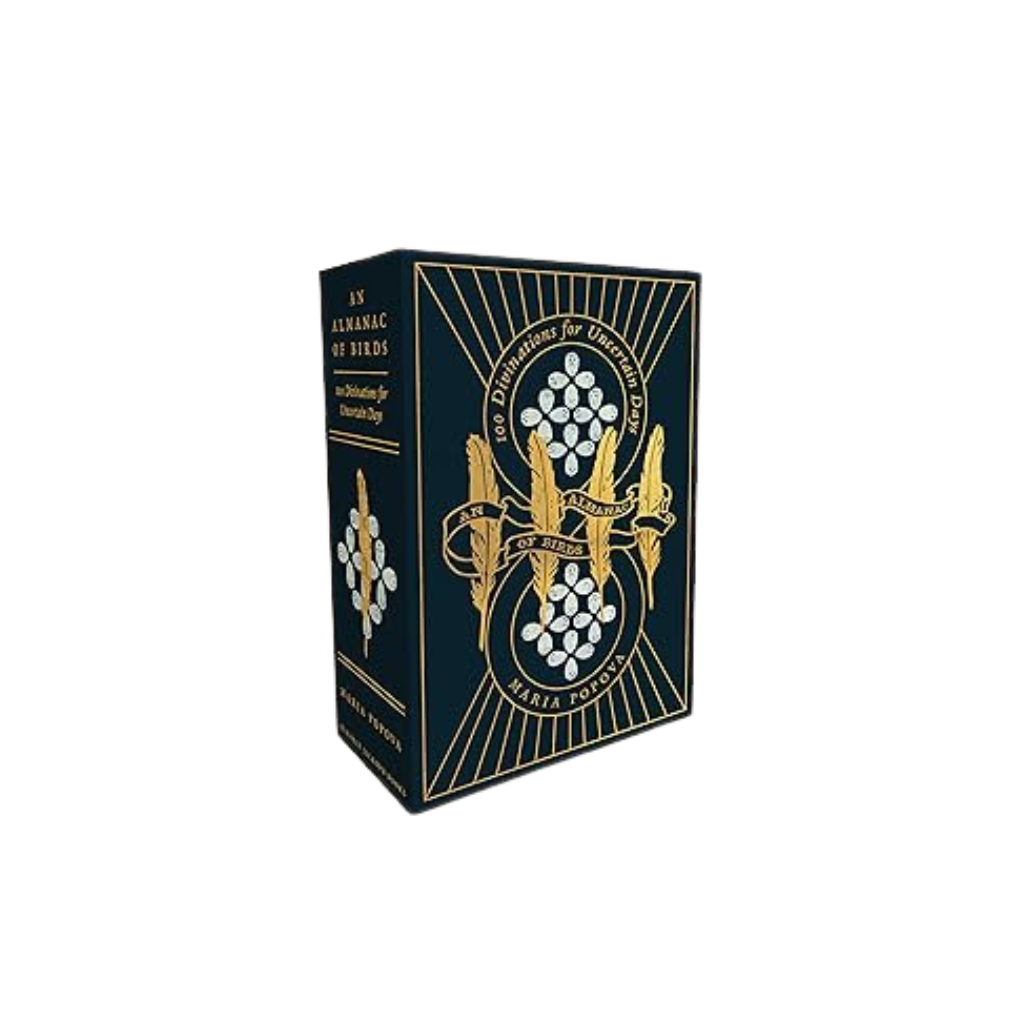 Decorative box with intricate design on a white background