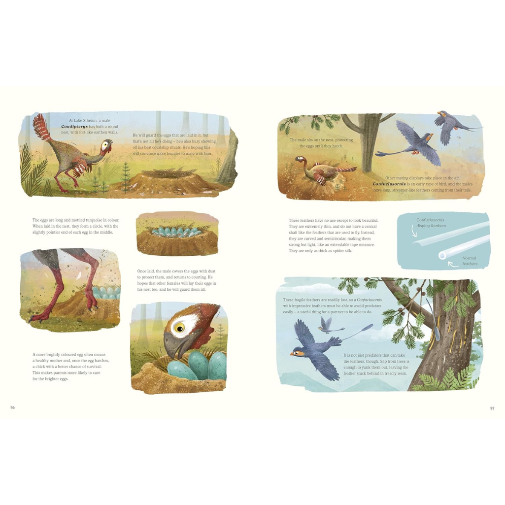 Illustrated pages from a children's book about birds and their life cycle.