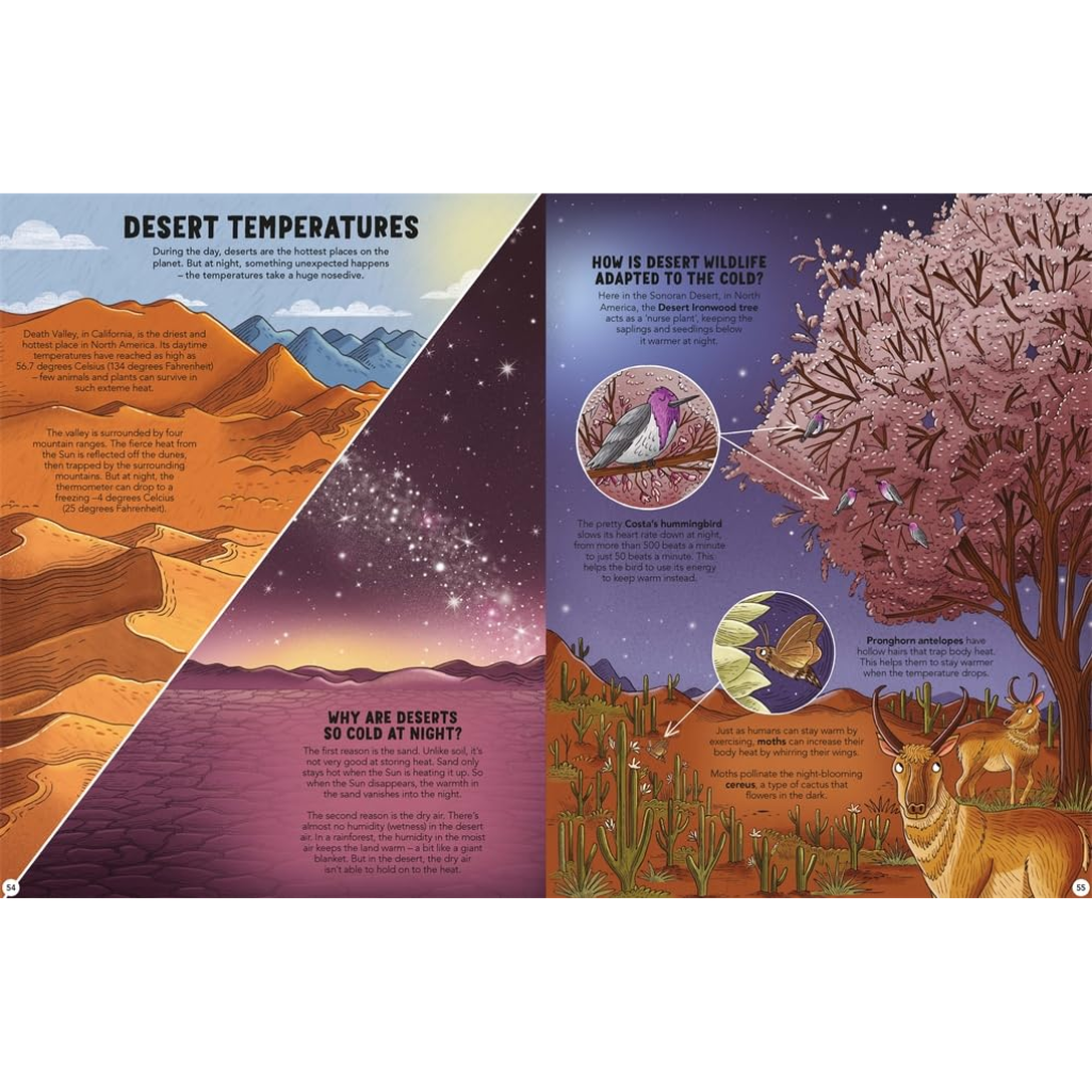 Educational illustration about desert temperatures and wildlife adaptations.