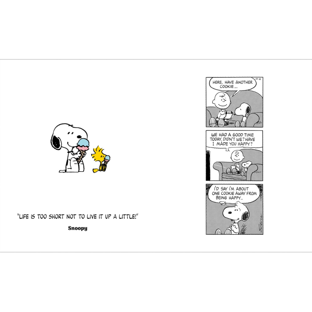 Comic strip featuring Snoopy and Woodstock with a humorous message about life and happiness.