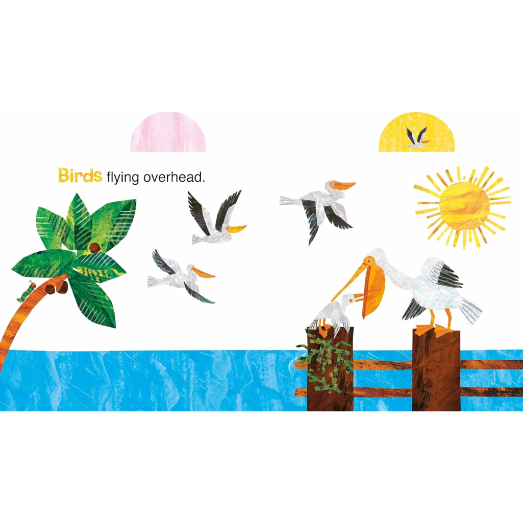 Illustration of pelicans by water with palm tree, sun, and birds flying overhead.