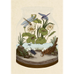 Illustration of a terrarium with plants, insects, and water.