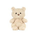 Small beige teddy bear on a white background
