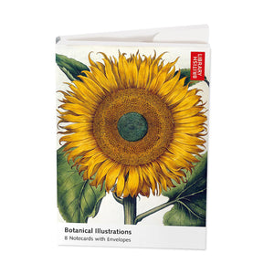 Botanical Illustrations Notecards