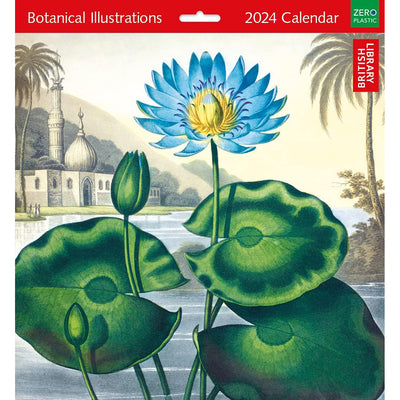 Botanical Illustrations 2024 Wall Calendar