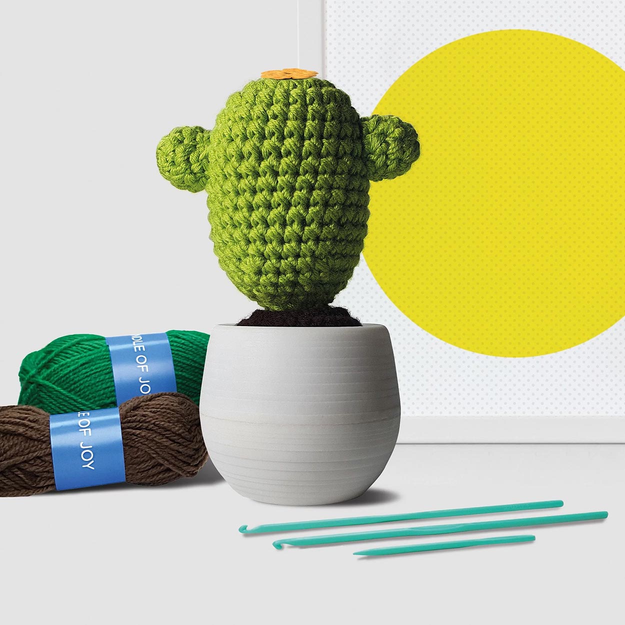 Crochet Cacti Kit