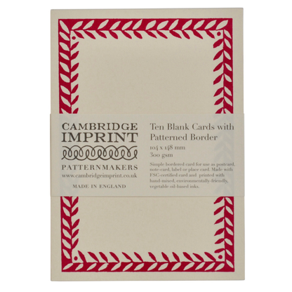 10 Patterned Border Postcards in Bright Pink