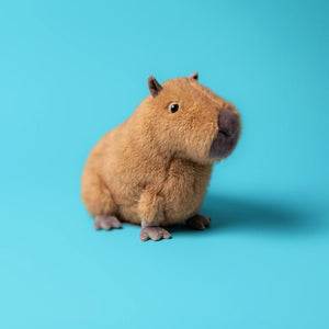 Clyde Capybara lifestyle