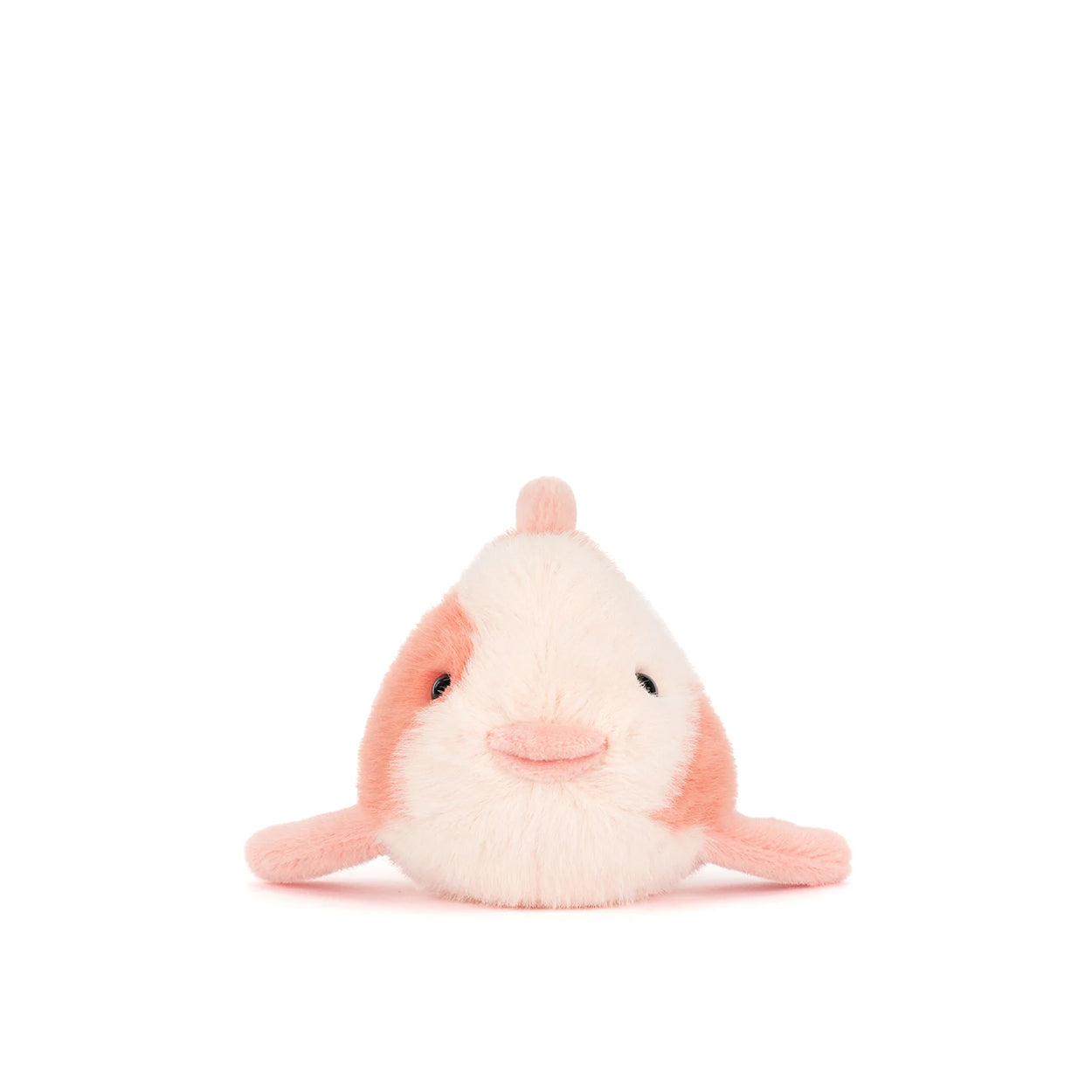 Fancy Carp