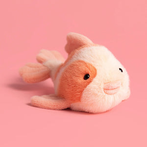 Fancy Carp