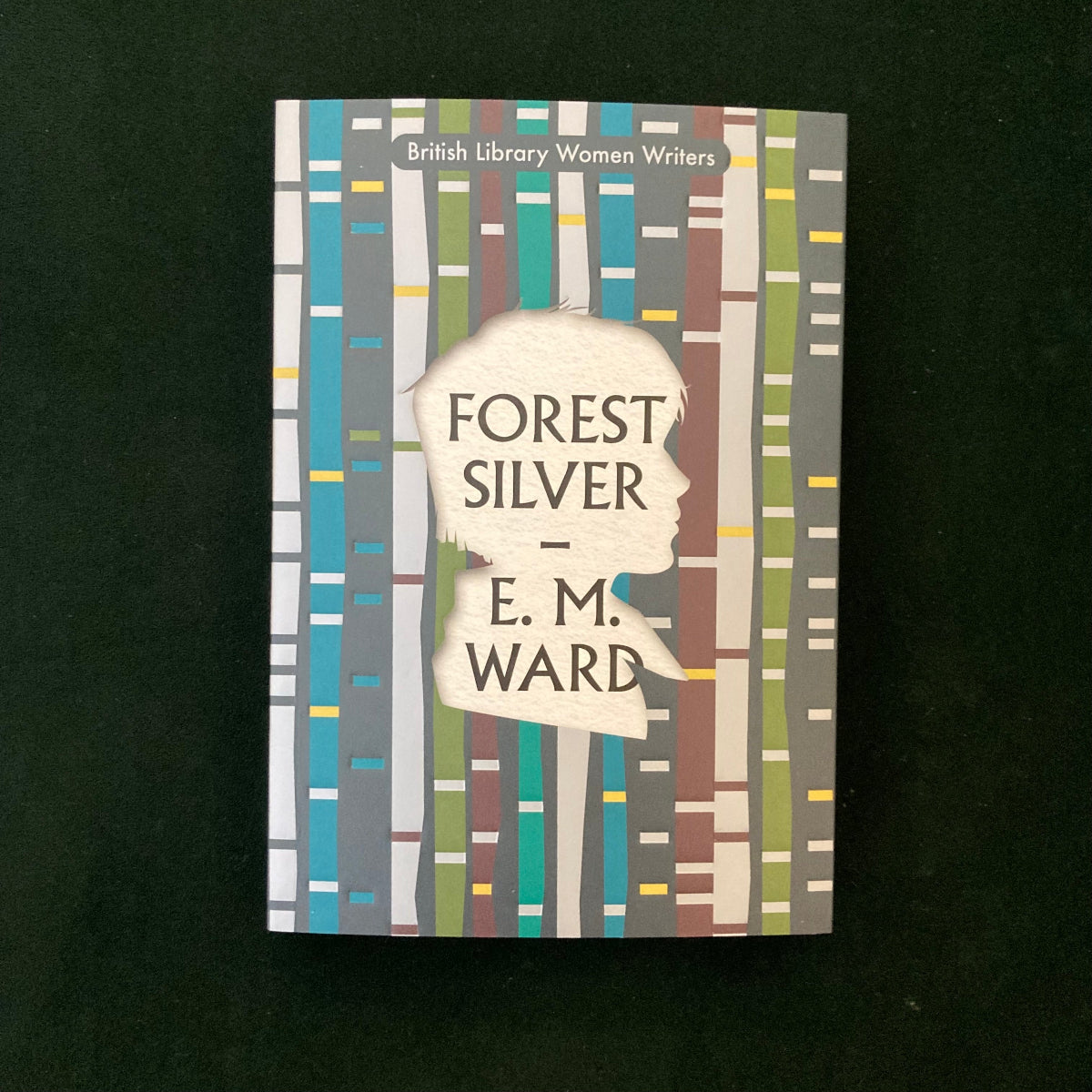 Forest Silver: A Lake District Story