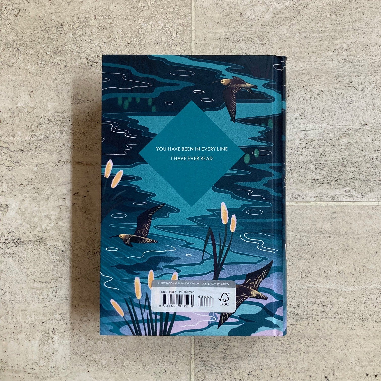 Great Expectations (Marbled, Sprayed Edge Edition)