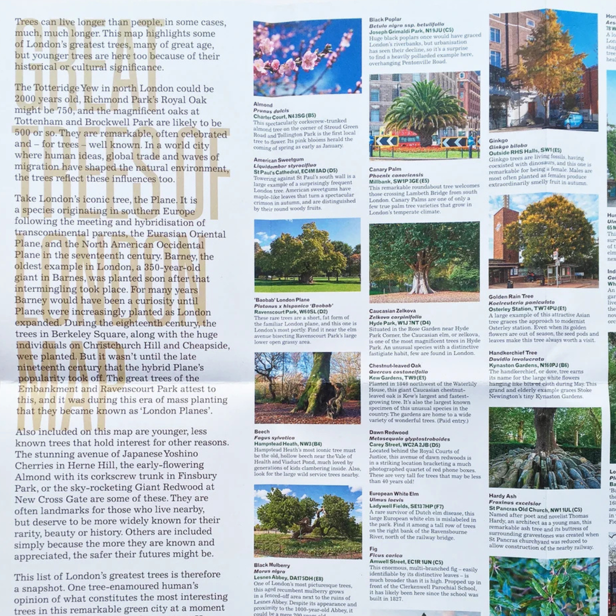 Great Trees of London Map