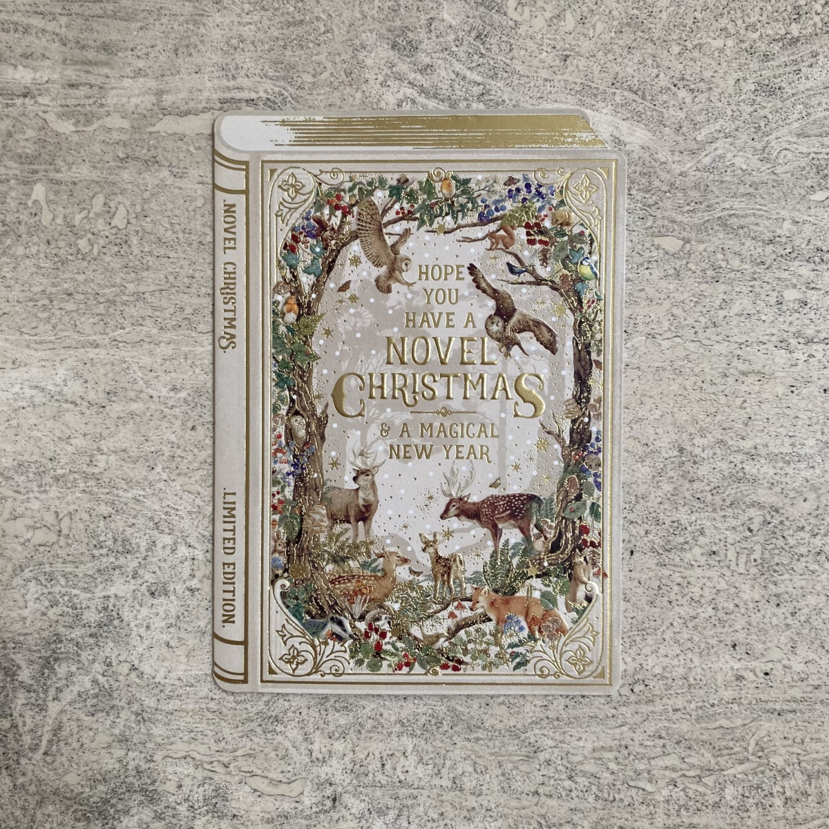 Have a Novel Christmas Greetings Card