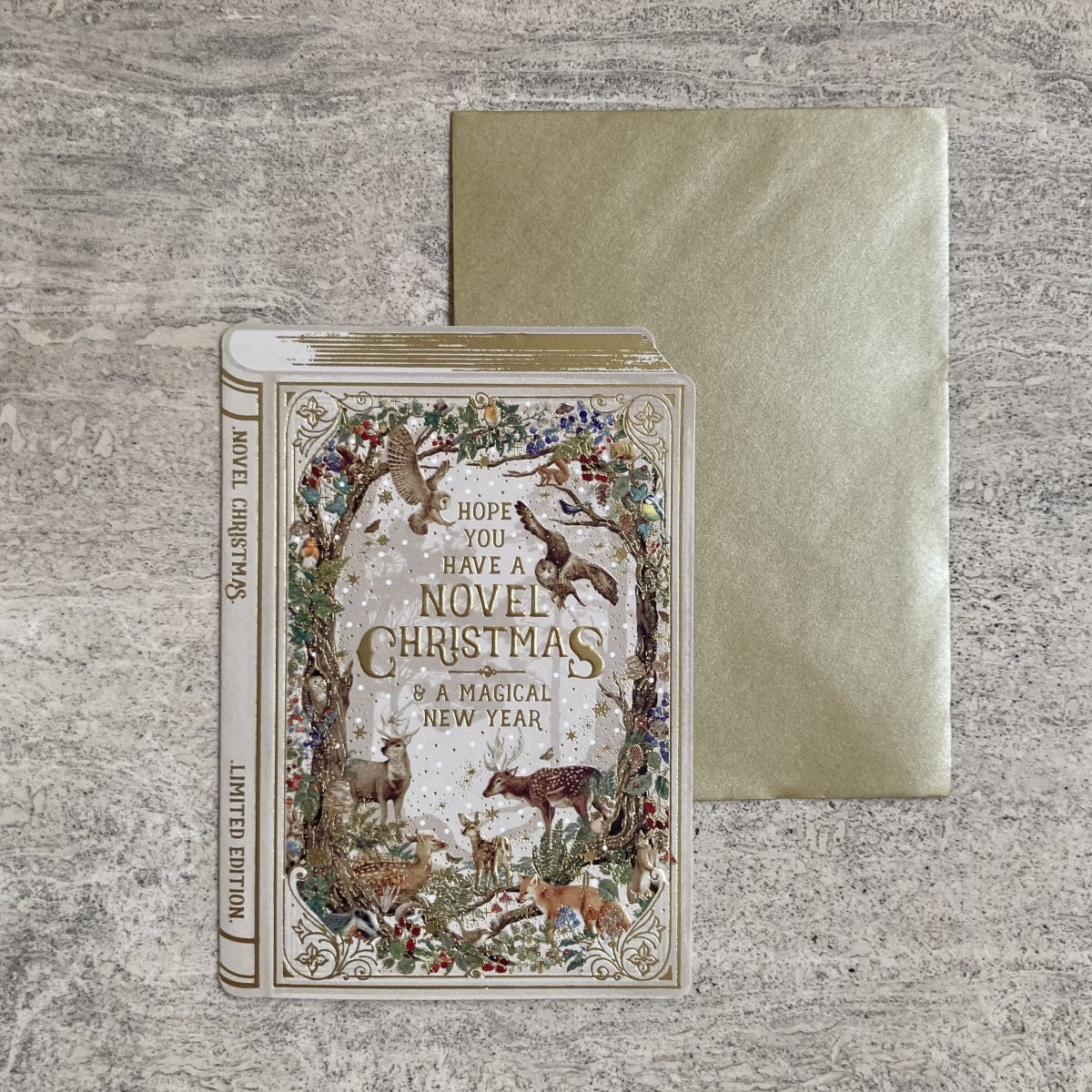 Have a Novel Christmas Greetings Card